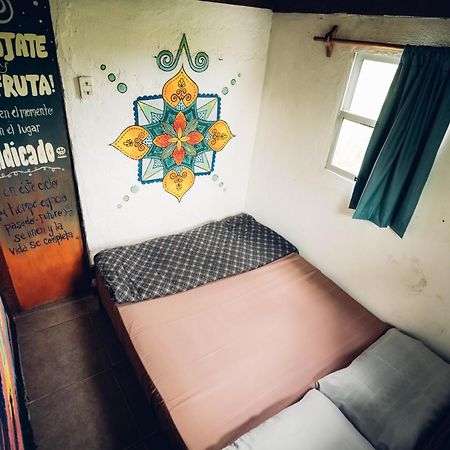 Viejo Lobo Hostel Кабо Полонио Екстериор снимка