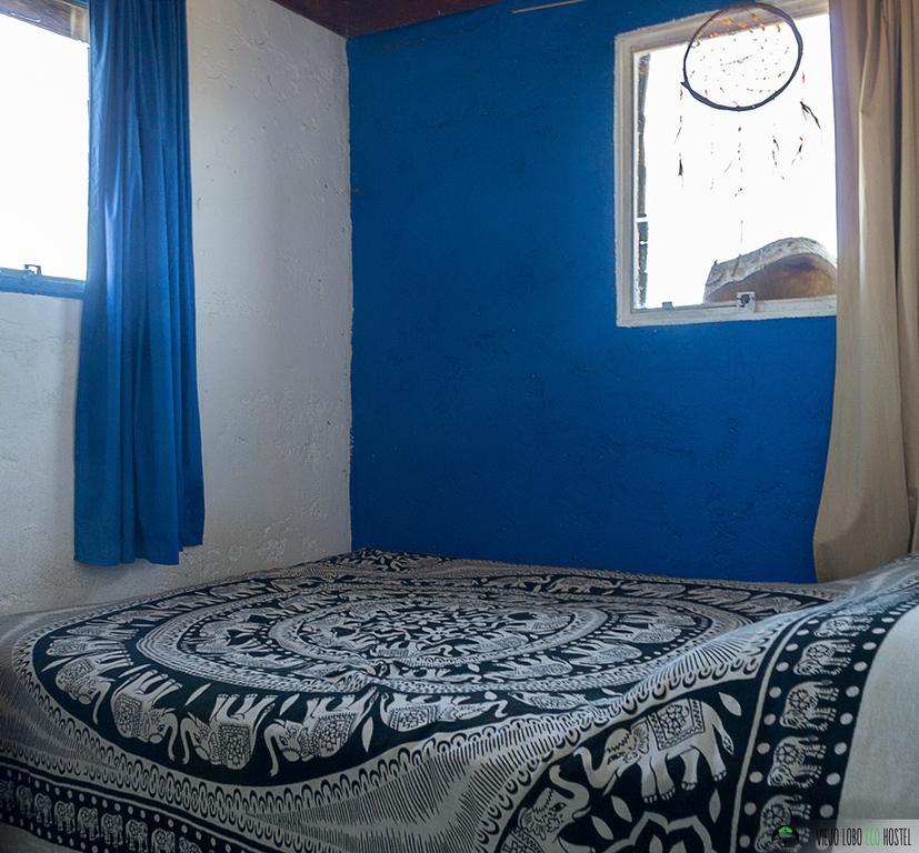 Viejo Lobo Hostel Кабо Полонио Стая снимка