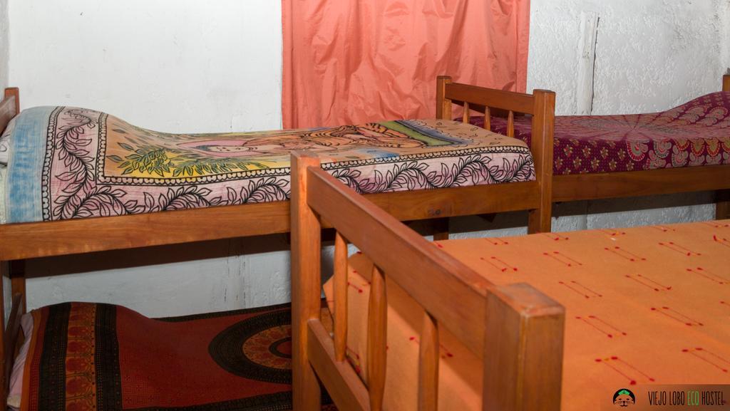 Viejo Lobo Hostel Кабо Полонио Стая снимка