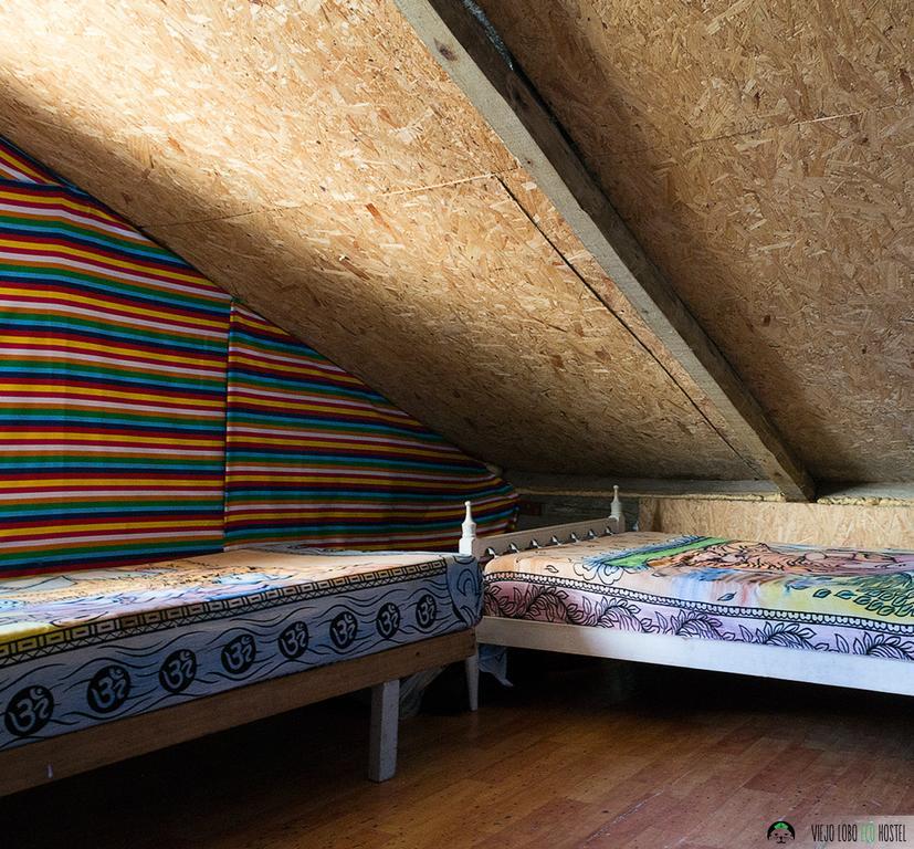 Viejo Lobo Hostel Кабо Полонио Екстериор снимка