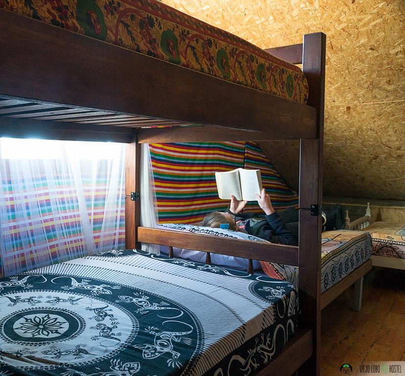 Viejo Lobo Hostel Кабо Полонио Стая снимка