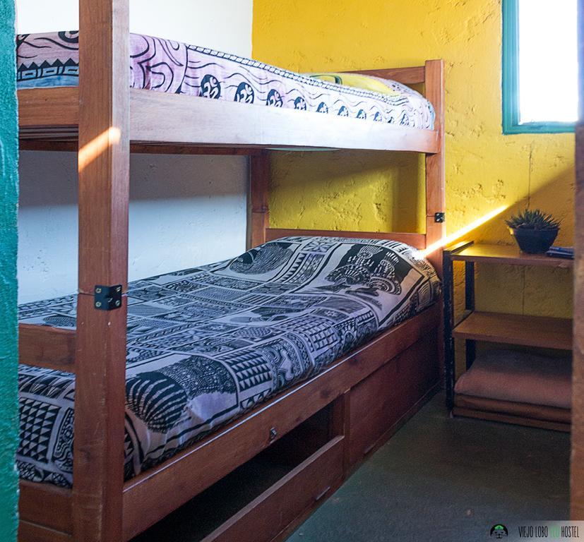 Viejo Lobo Hostel Кабо Полонио Стая снимка
