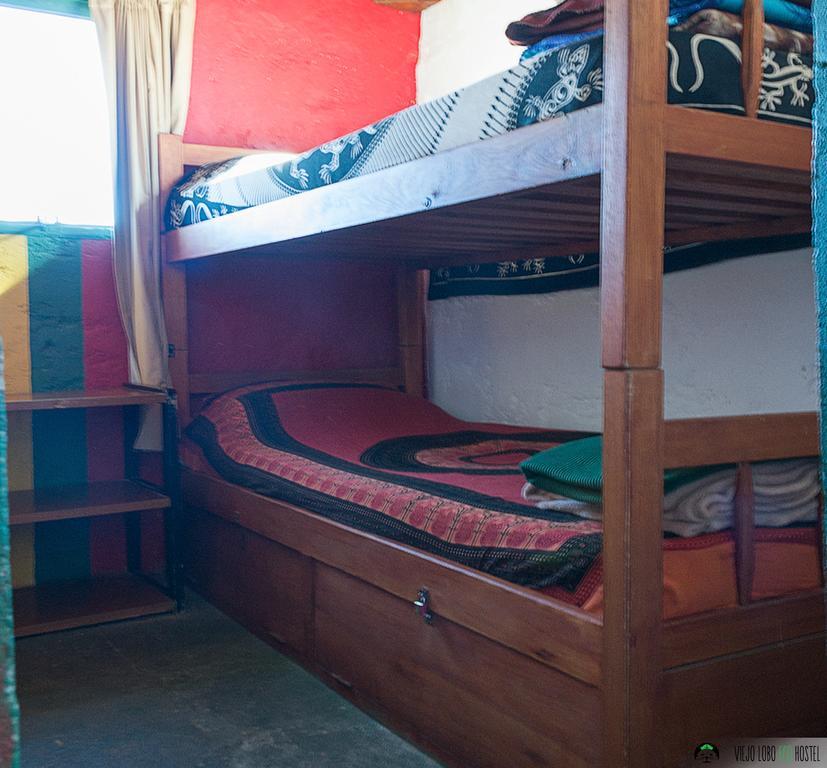 Viejo Lobo Hostel Кабо Полонио Стая снимка
