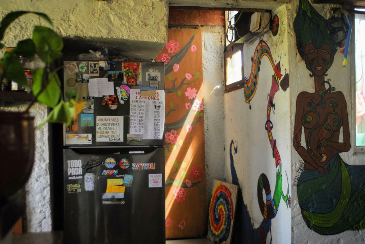 Viejo Lobo Hostel Кабо Полонио Екстериор снимка